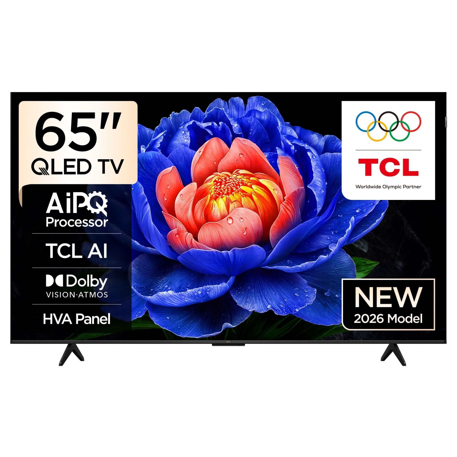 65T6D 65'' 165 Ekran Uydu Alıcılı 4K Ultra HD Google Smart QLED TV